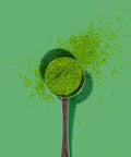 PerfectTed Matcha scoop on bright green background